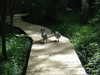 20090614-1