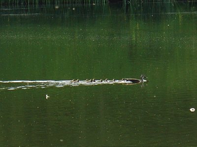 20090614-8