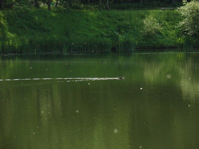 20090614-7