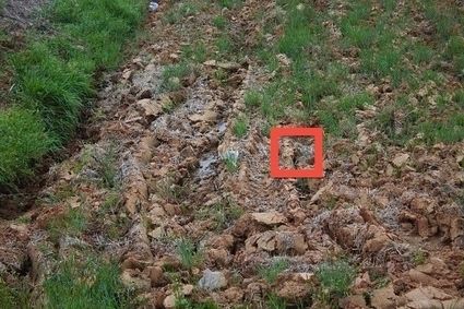 is-it-there-3557-1318789047-20