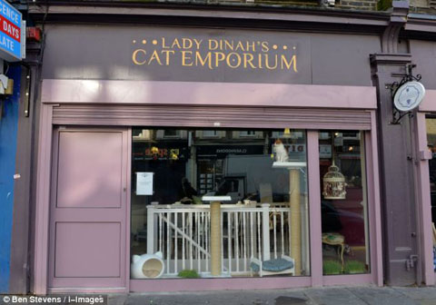 article-2571003-1BEEC91A00000578-903_634x444