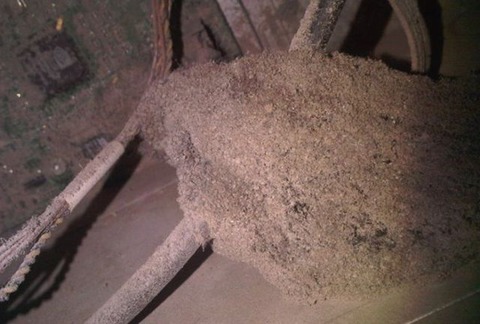 the_disgusting_things_found_inside_pcs_640_13