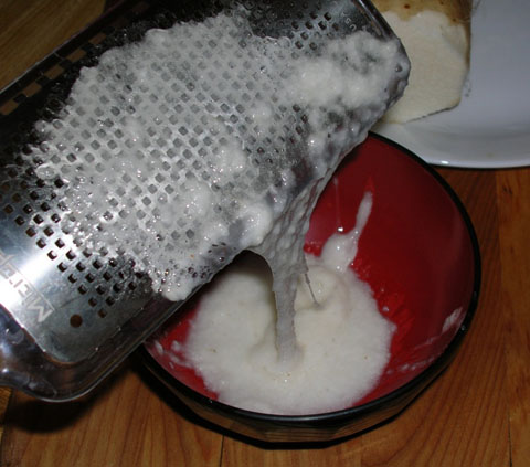 Tororo_(grated_Dioscorea_opposita)