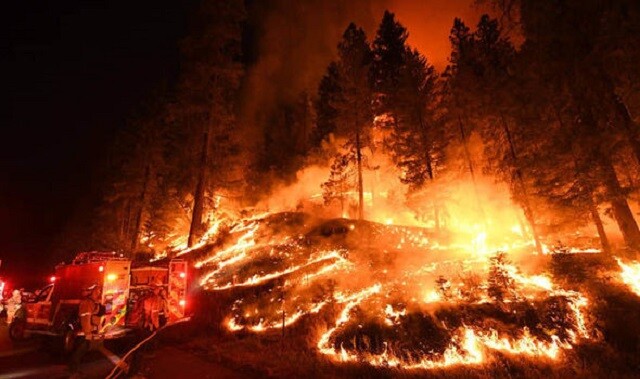 Carr-fire-update-997379