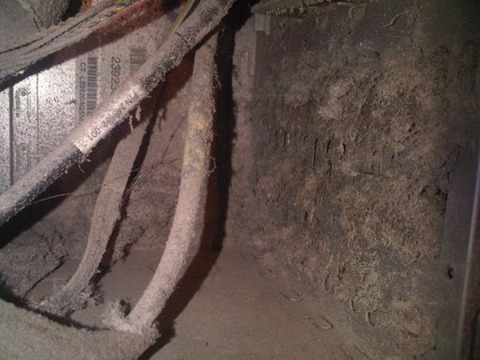 the_disgusting_things_found_inside_pcs_640_18