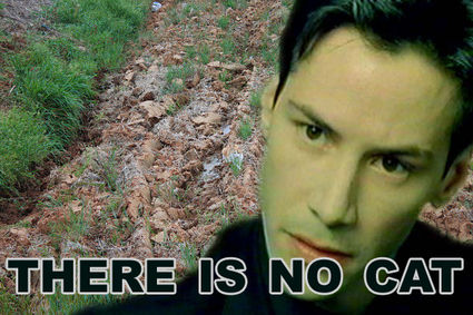 neo-says-26921-1280040215-4