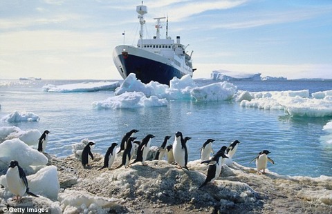 3C3C003400000578-4131718-image-a-10_1484739235749