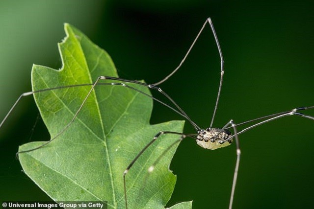 18570542-7472143-image-a-1_1568712549285