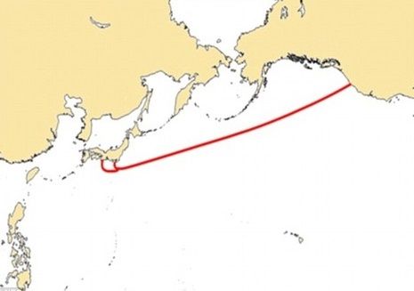 0ffb6145-s