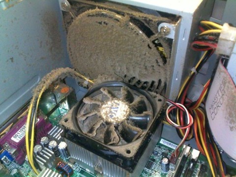the_disgusting_things_found_inside_pcs_640_20