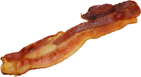 bacon