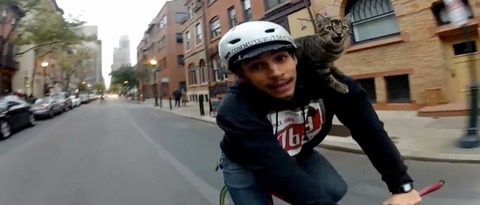 Video-Cat-Bike-Guy