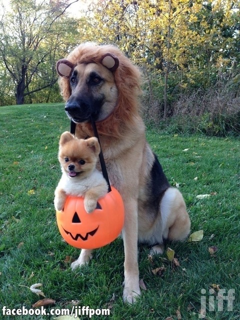 enhanced-buzz-27970-1355862109-2