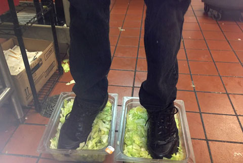 2-standing-in-lettuce