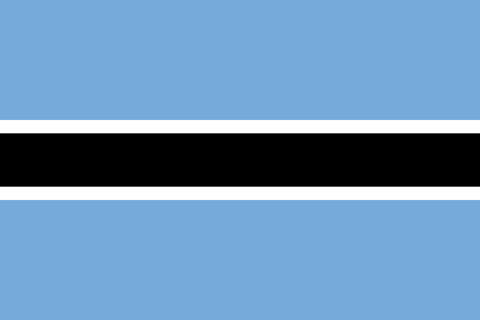 svg