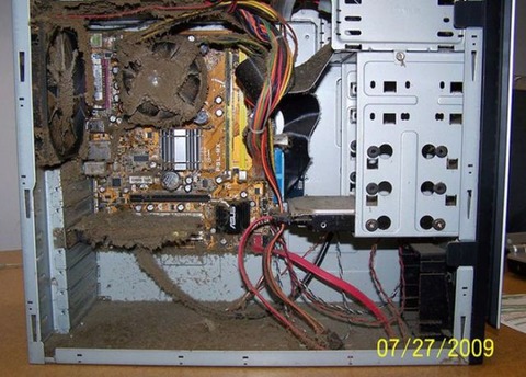 the_disgusting_things_found_inside_pcs_640_23