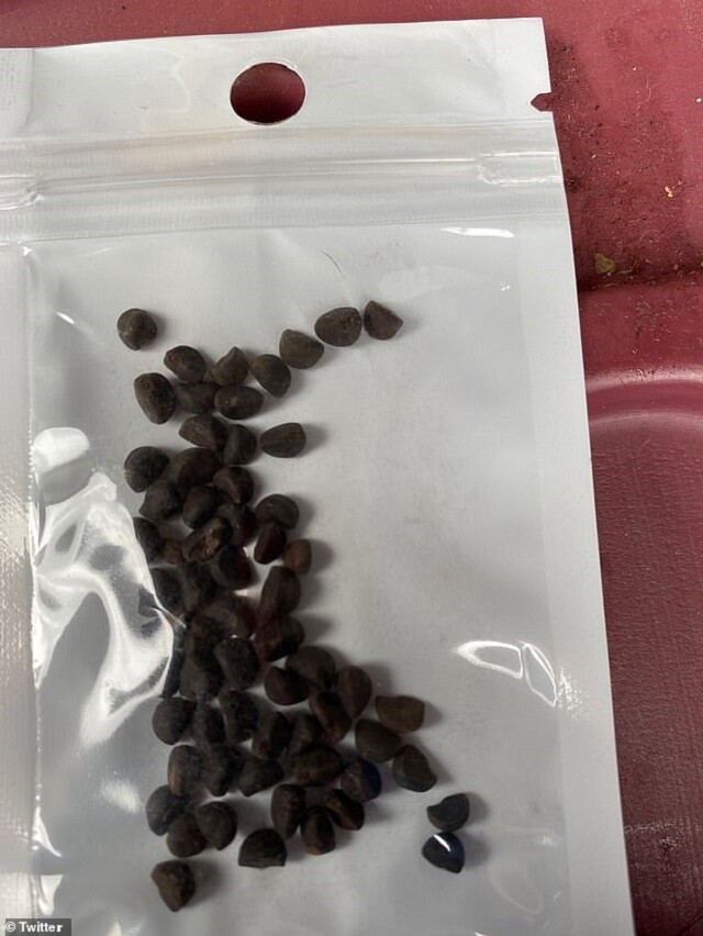 0 (2)