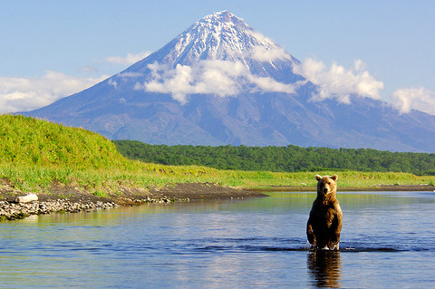 kamchatka-with-bear