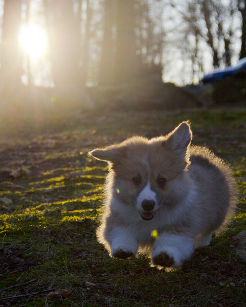 enhanced-buzz-8263-1355782557-3