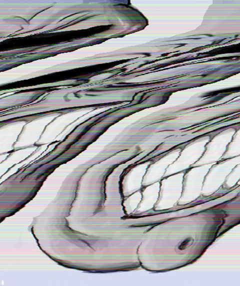 1372643357240