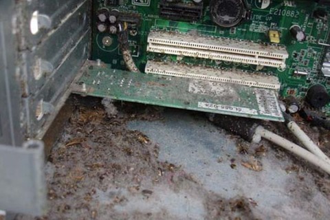 the_disgusting_things_found_inside_pcs_640_29