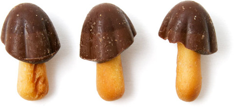 20130522-taste-test-kinoko-pieces