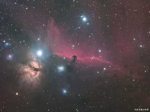 horsehead