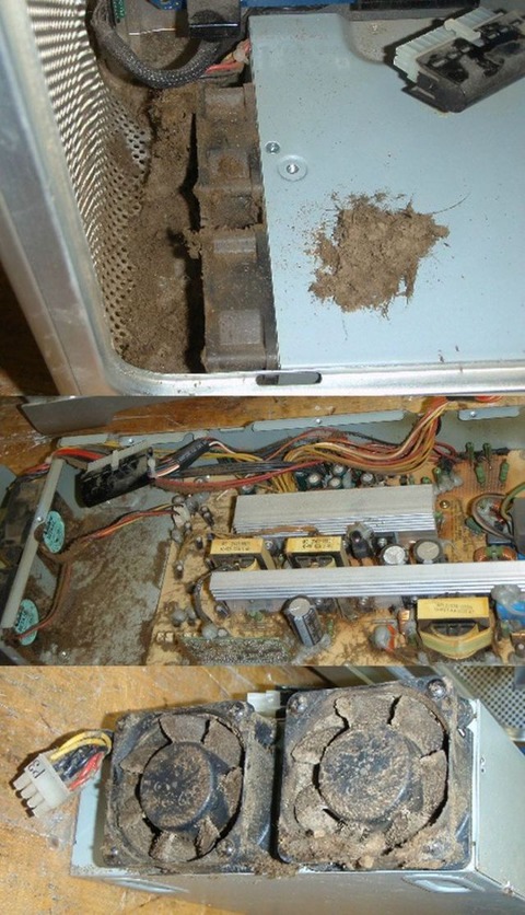 the_disgusting_things_found_inside_pcs_640_high_22