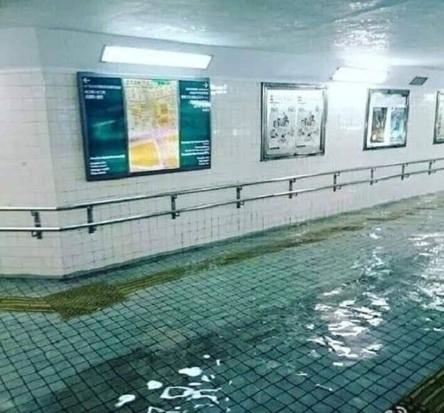 flood-in-japan-is-cleaner-than-my-local-public-swimming-pool
