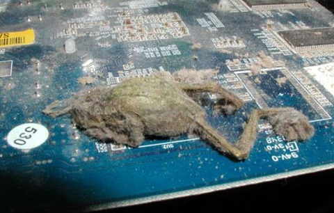 the_disgusting_things_found_inside_pcs_640_11