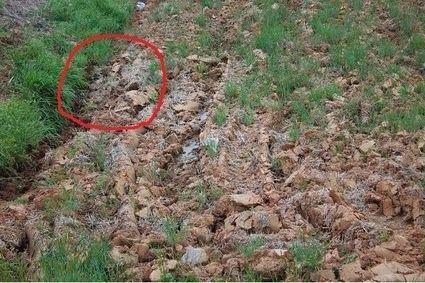 found-him-19959-1279908960-13