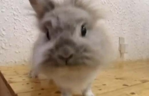 名称未設定 1