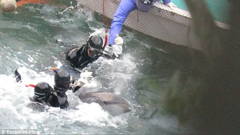 3DE0302500000578-4274930-image-a-4_1488458395398