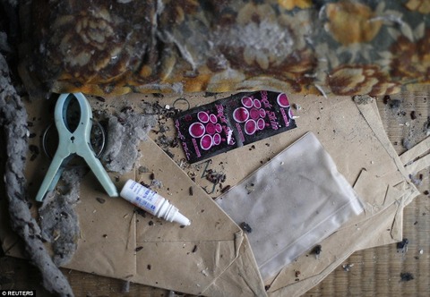 272FDD0800000578-0-image-a-47_1427882639231