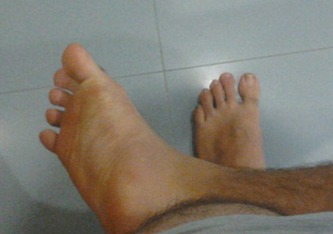 1364246767253