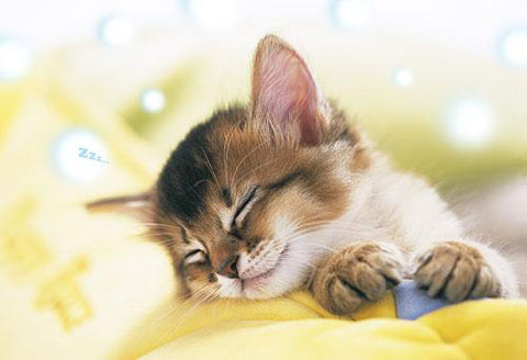 o050003421307019688562