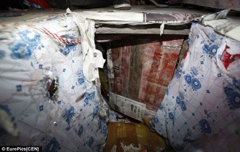 article-2385927-1B2F6948000005DC-409_634x401