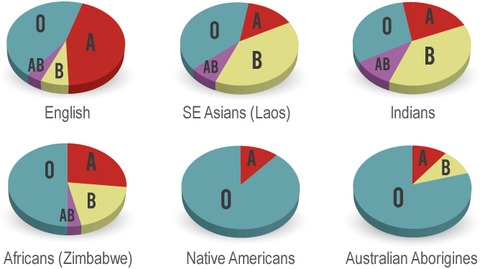 pie-charts