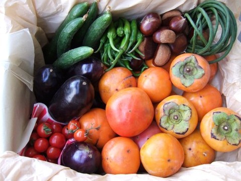 autumn_fruit_vegetables