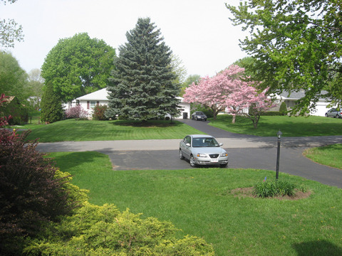 304d1210523898-view-outside-your-window-front-yard