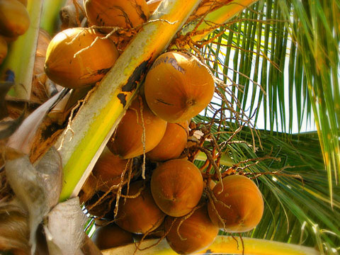 enhanced-buzz-26079-1371583647-2