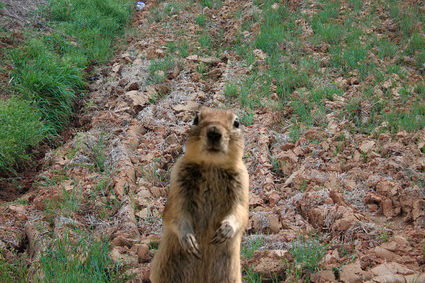 i-thought-i-had-him-for-a-moment-2058-1279923201-31