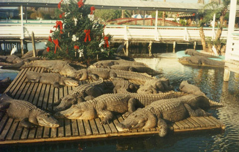 Gatorland