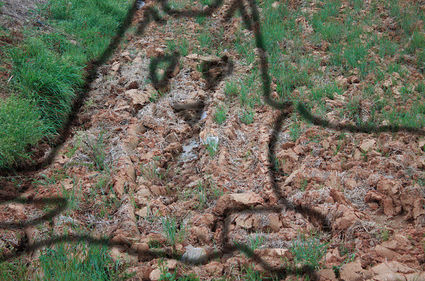 hmm-18971-1279828280-109