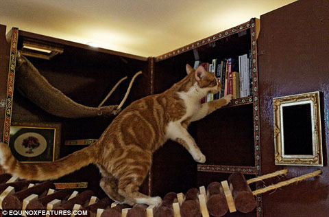 article-2571003-1BF4CB6400000578-823_634x418