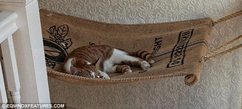 article-2571003-1BF4CA8800000578-158_634x286