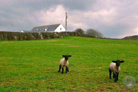 ierland-2004-ejl-lahinche1