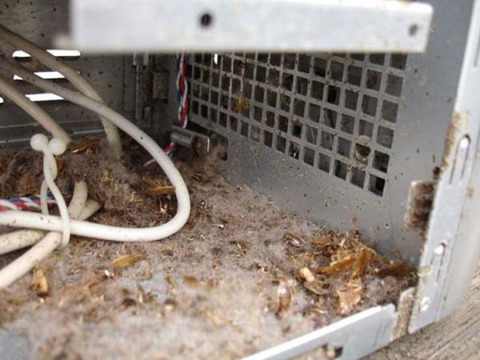 the_disgusting_things_found_inside_pcs_640_36