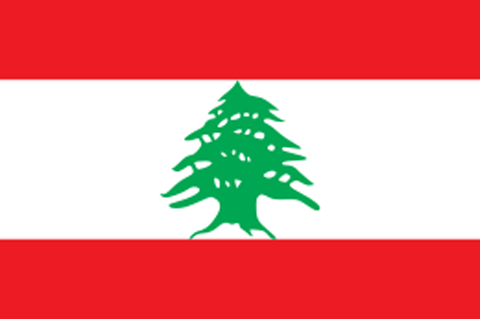 svg