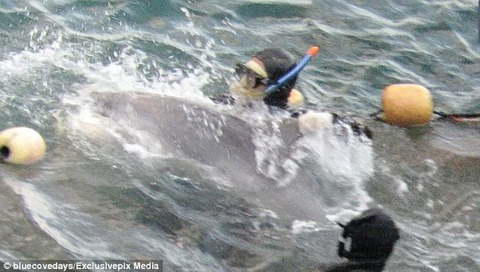 3DDF2E4300000578-4274930-image-a-2_1488458380564